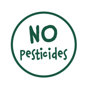 No Pesticides