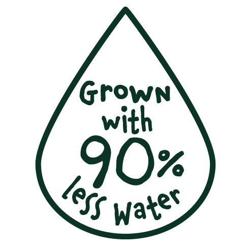 Grown w Less__0B3426