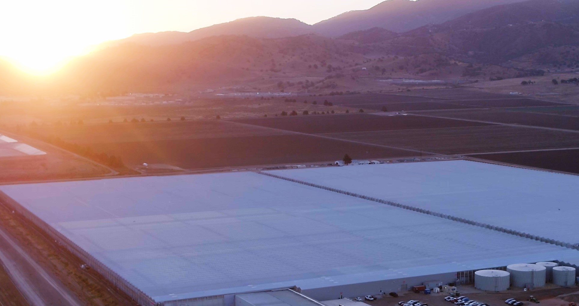 Tehachapi, California Revol Greens