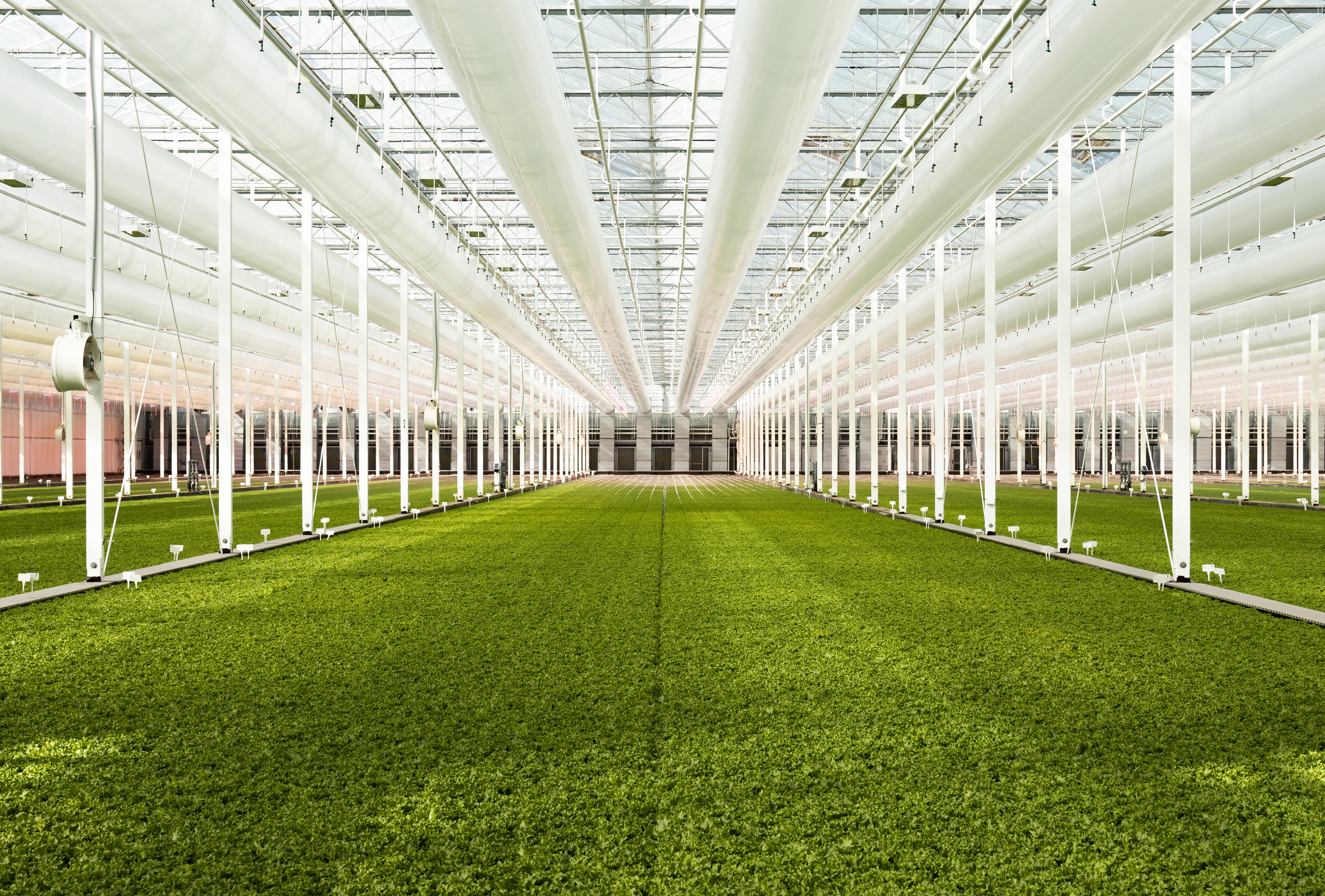 Greenhouse_v2
