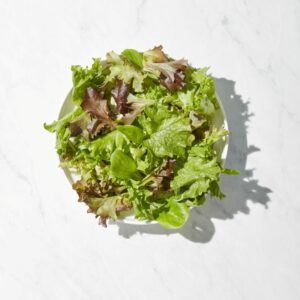 Revol Greens Spring Mix