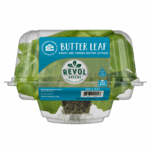 1ct Conventional Butter Leaf